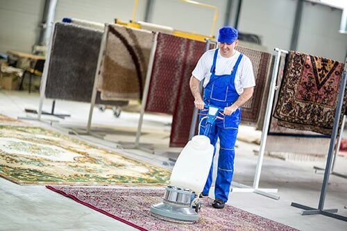 Carpet Cleaning Processes